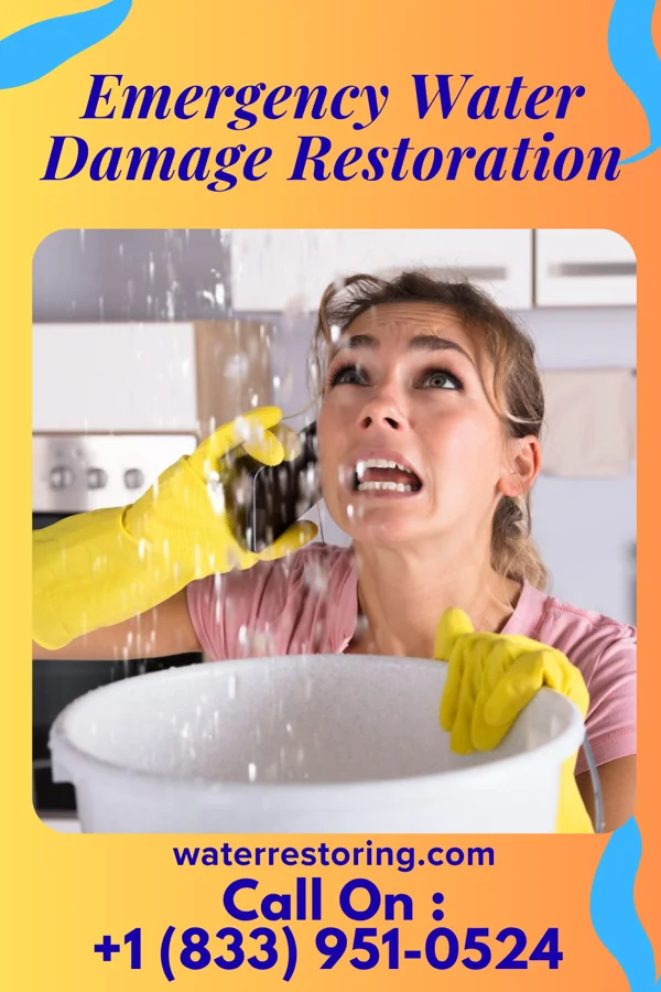 Emergency Water Damage Restoration in Gluckstadt, MS