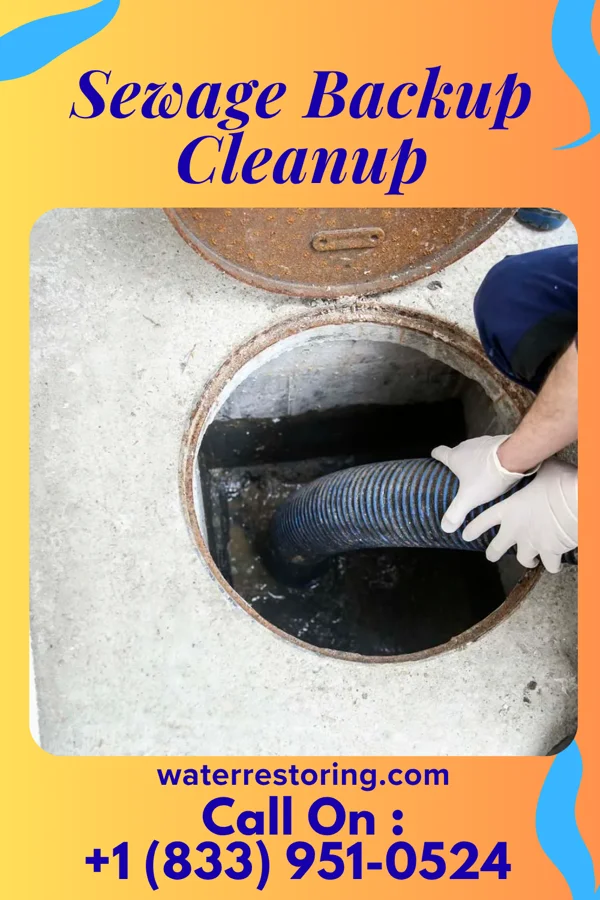 Sewage Backup Cleanup in Gluckstadt, MS