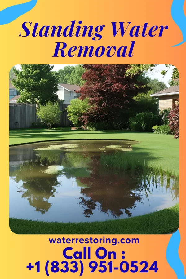 Standing Water Removal in Gluckstadt, MS